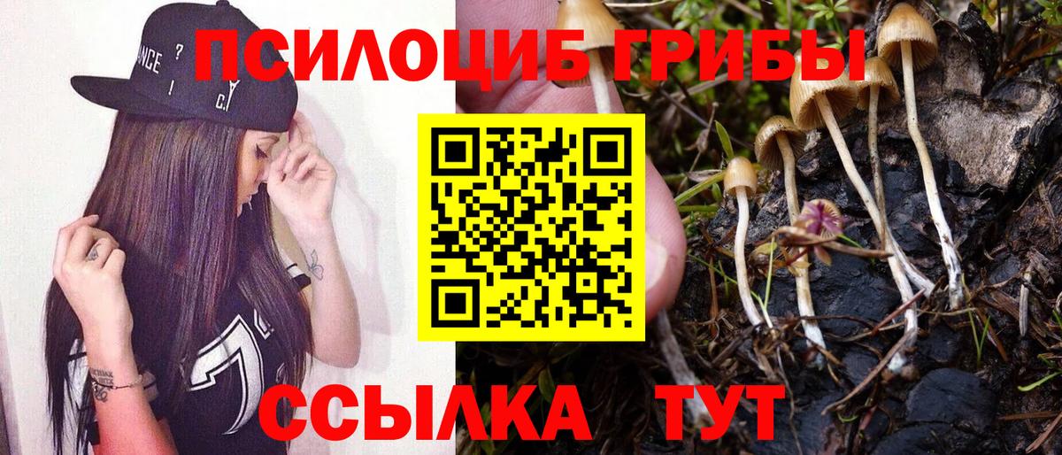 Галлюциногенные грибы Psilocybe  Вход с VPN  Ирбит 