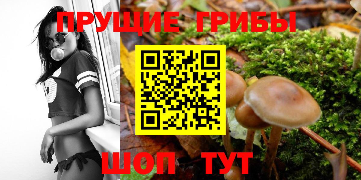 Галлюциногенные грибы мицелий Ирбит